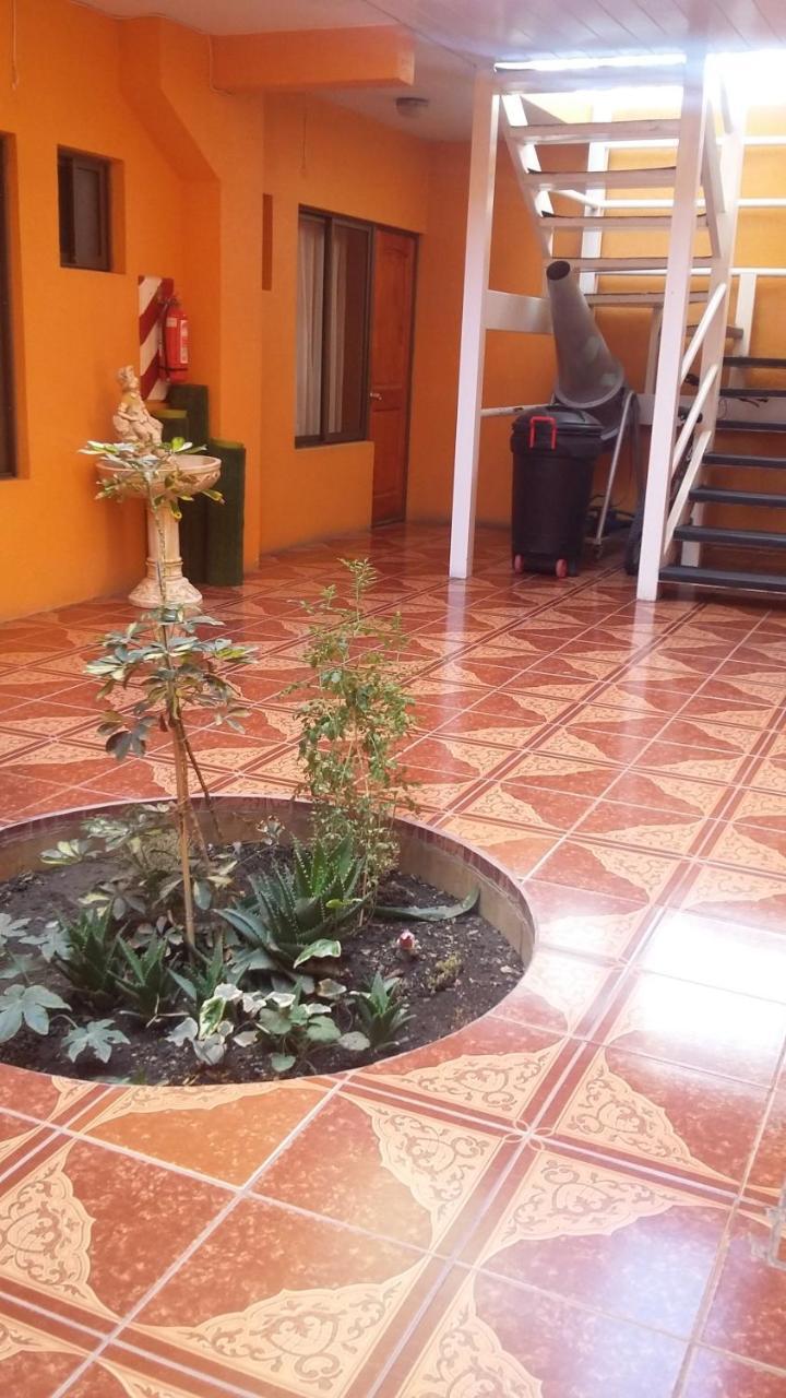 Hotel Don Alfredo Calama Ngoại thất bức ảnh